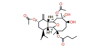 Krempfielin O